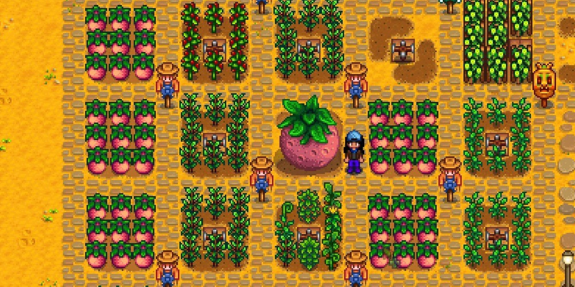 بازیکن stardew در کنار محصول خربزه غول پیکر ایستاده است
