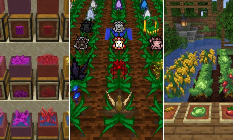 بهترین مدهای کشاورزی برای Minecraft بهترین مدهای کشاورزی برای Minecraft