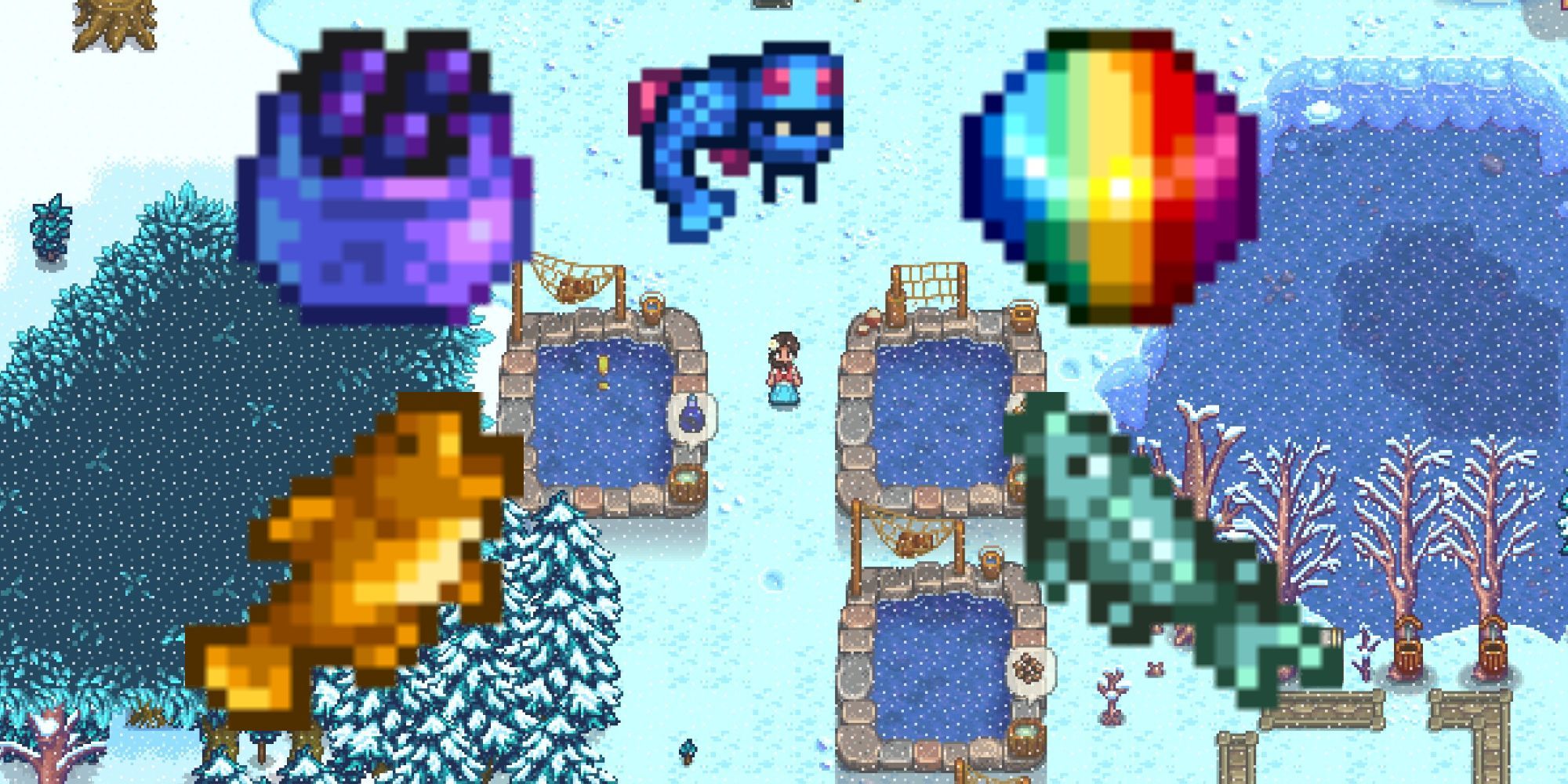 همه کاتالوگ های مبلمان در Stardew Valley، رتبه بندی شده اند 6 Stardew Valley: تصویری از بازیکن در کنار استخرهای ماهی خود در حالی که یک خرده منشوری، گوبی، خاویار، ماهی یخچالی و یک ماهی خاویاری بر روی تصویر پوشانده شده است.