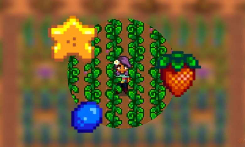 بهترین محصولات برای رشد در گلخانه شما در Stardew Valley بهترین محصولات برای رشد در گلخانه شما در Stardew Valley