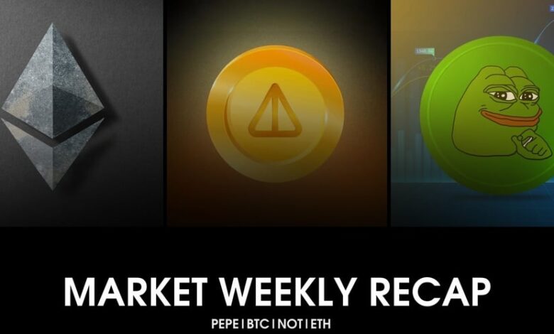 خلاصه هفتگی بازار: ETF اتریوم بازار را روشن می کند.  PEPE و NOT New Highs را علامت گذاری کنید
