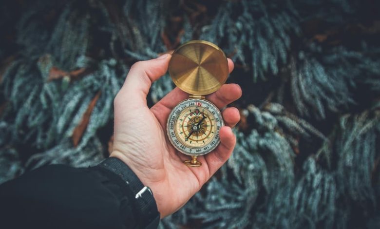 3 گام اثبات شده برای تبدیل شدن به یک مربی 3 گام اثبات شده برای تبدیل شدن به یک مربی