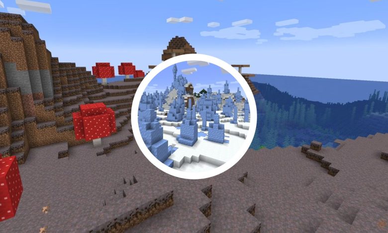 کمیاب ترین بیوم های کشف شده در Minecraft کمیاب ترین بیوم های کشف شده در Minecraft