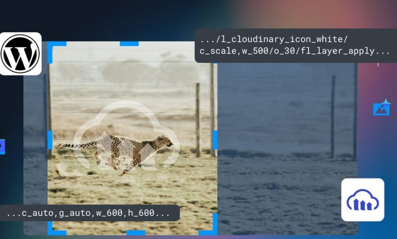 5 راه برای بهبود تصاویر و ویدیوهای خود در وردپرس 5 راه برای بهبود تصاویر و ویدیوهای خود در وردپرس