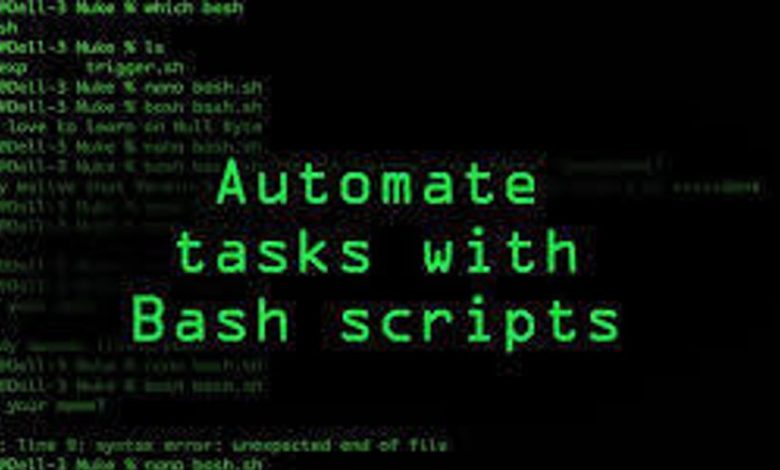 روز هشتم: تسلط بر اسکریپت Bash در DevOps روز هشتم: تسلط بر اسکریپت Bash در DevOps