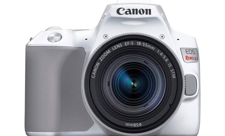 DSLR در مقابل دوربین های بدون آینه: کدام بهتر است؟ DSLR در مقابل دوربین های بدون آینه: کدام بهتر است؟