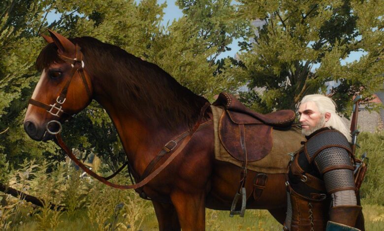طرفدار Witcher 3 کشف کرد که گرالت را می‌توان توسط اسب کشت