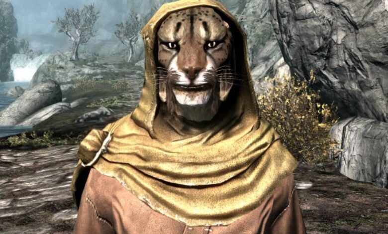 Skyrim 13 ساله است و ما همچنان منتظر The Elder Scrolls 6 هستیم Skyrim 13 ساله است و ما همچنان منتظر The Elder Scrolls 6 هستیم