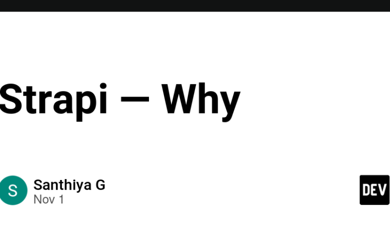 Strapi — چرا – انجمن DEV Strapi — چرا – انجمن DEV