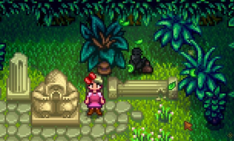 فروشگاه اقلام گمشده در Stardew Valley چیست؟