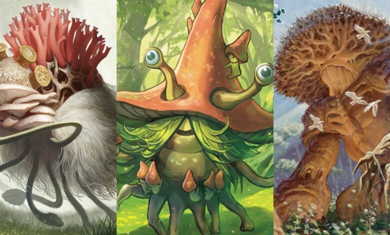نحوه بازی Shroofus Sproutsire Commander Deck در Magic: The Gathering نحوه بازی Shroofus Sproutsire Commander Deck در Magic: The Gathering