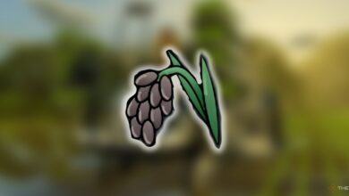 آموزش کاشت، آبیاری و برداشت برنج در Farming Simulator 25 (راهنمای شالیکاری ۲۰۲۶)
