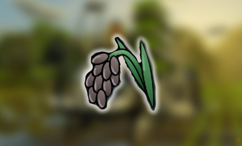 نحوه رشد برنج در Farming Simulator 25 نحوه رشد برنج در Farming Simulator 25