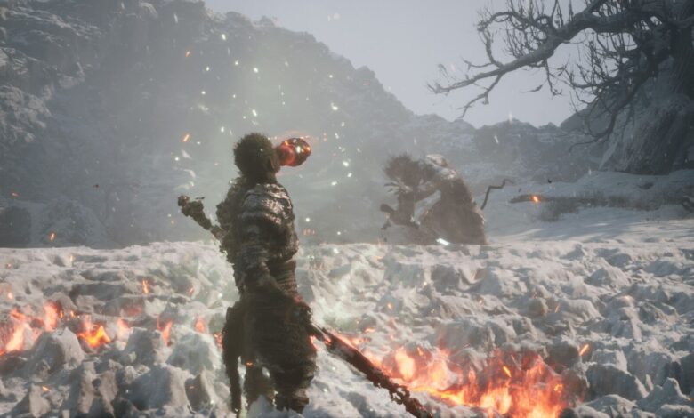Wukong برنده بازی سال در جوایز Steam 2024 شد Wukong برنده بازی سال در جوایز Steam 2024 شد