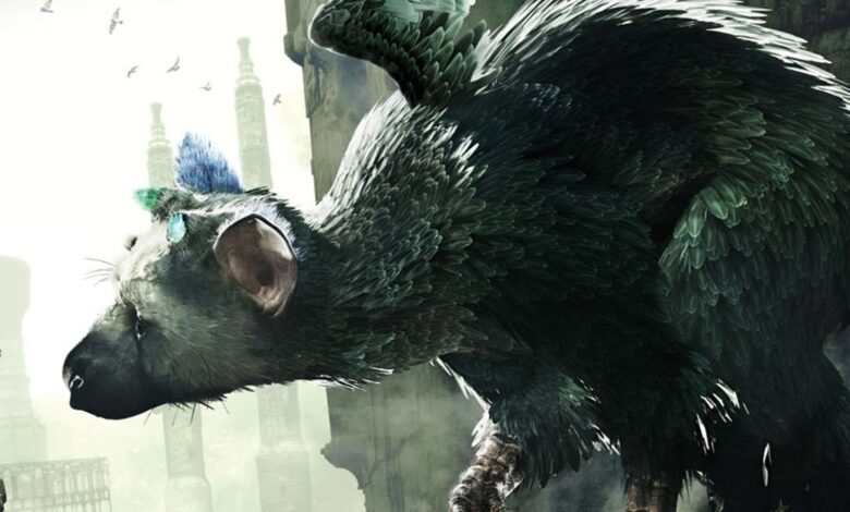 آخرین سرپرست به لطف Shuhei Yoshida نجات یافت آخرین سرپرست به لطف Shuhei Yoshida نجات یافت