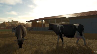 نحوه مراقبت، تغذیه و پرورش گاو در Farming Simulator 25 (راهنمای جامع ۲۰۲۶)