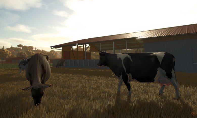 نحوه مراقبت، تغذیه و پرورش گاو در Farming Simulator 25 نحوه مراقبت، تغذیه و پرورش گاو در Farming Simulator 25