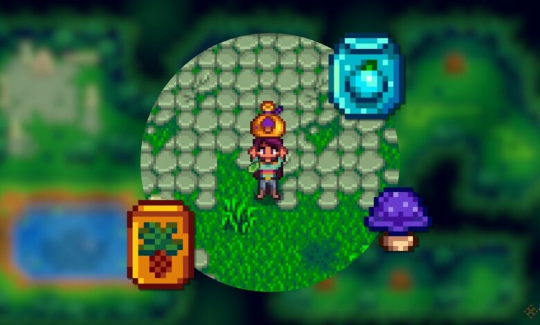 بهترین میوه و قارچ برای دهیدراتور در دره Stardew بهترین میوه و قارچ برای دهیدراتور در دره Stardew