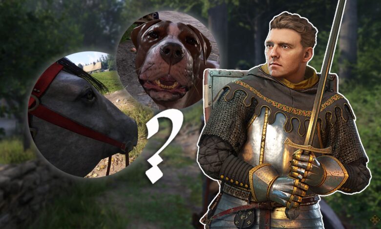 چگونه می توان Mutt و Pebbles را در Kingdom دریافت کرد: تحویل 2 چگونه می توان Mutt و Pebbles را در Kingdom دریافت کرد: تحویل 2