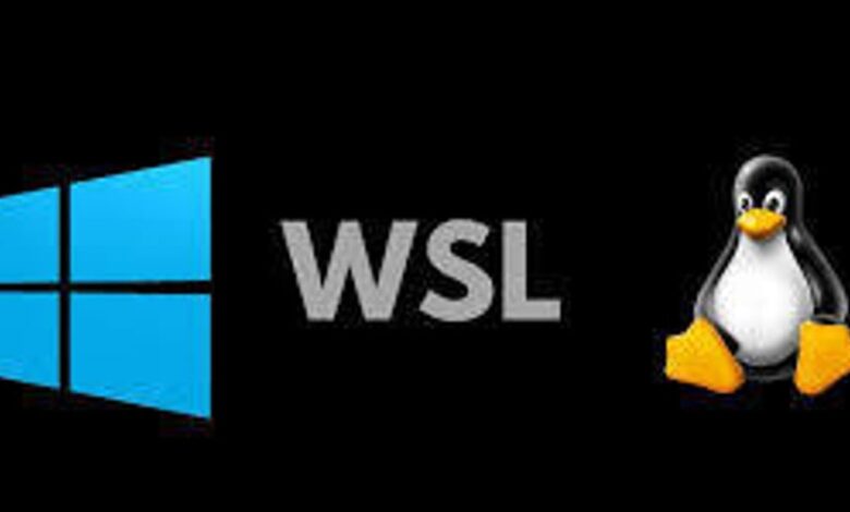 زیر سیستم ویندوز برای لینوکس (WSL) زیر سیستم ویندوز برای لینوکس (WSL)
