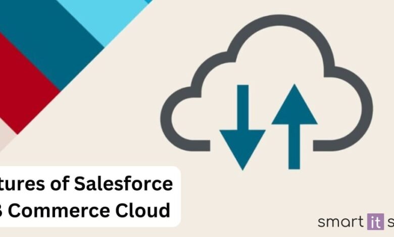 ویژگی های برتر Salesforce B2B Cloud Cloud برای رشد تجارت ویژگی های برتر Salesforce B2B Cloud Cloud برای رشد تجارت