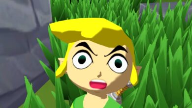 Wind Waker HD هنوز هم می تواند به سوئیچ 2 منتقل شود