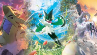 با ارزش ترین کارتهای پالدا تکامل یافت