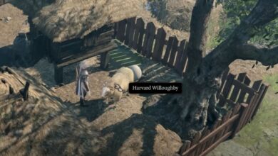 بازیکنان Baldur's Gate 3 فقط در حال کشف بازی هستند که یک گوسفند جادویی دارد که طلسم را بازی می کند