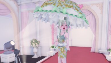 بهترین لباس در به روزرسانی DTI Petal برای Roblox