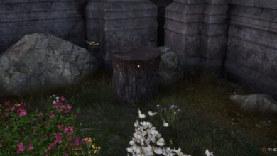 بهترین مکان ها برای ذخیره وسایل خود در Oblivion Remastered