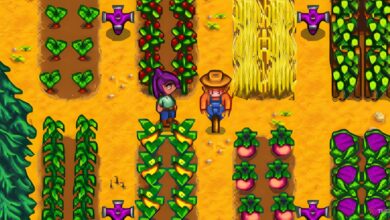 دامنه Scarecrow در Stardew Valley چیست؟