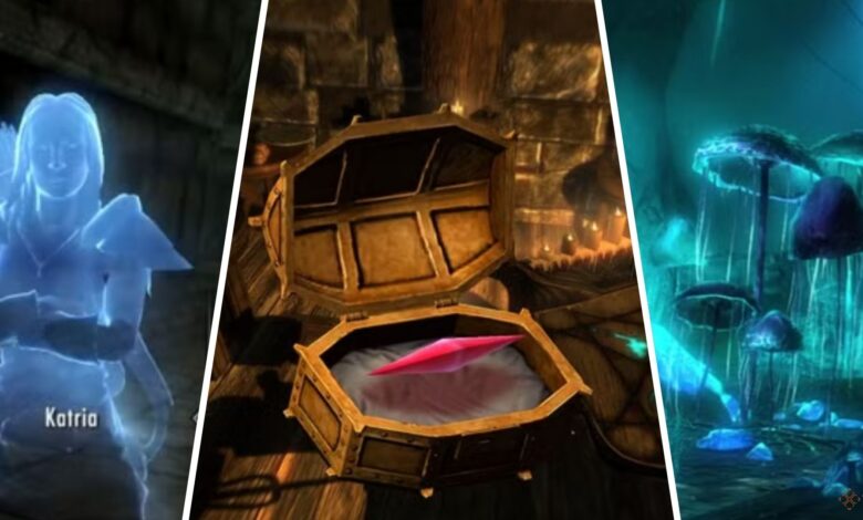 دشوارترین تلاش های Skyrim تا کنون دشوارترین تلاش های Skyrim تا کنون