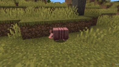نحوه تغذیه Armadillos در Minecraft