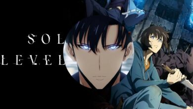 نحوه تماشای سطح انفرادی