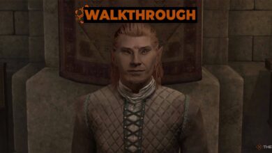 نحوه ضرب و شتم آگرمیر در فراموشی: مجدداً