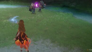 نحوه ضرب و شتم کمربند رقابتی در بی نهایت نیکی