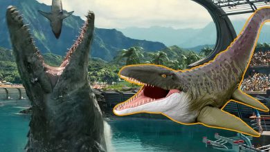 Mosasaurus جهان ژوراسیک به یک چهره اکشن عظیم تبدیل شده است که می تواند اسباب بازی های کوچکتر را بلع کند