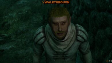 آیا باید بریتور را در Oblivion Remastered بکشید؟