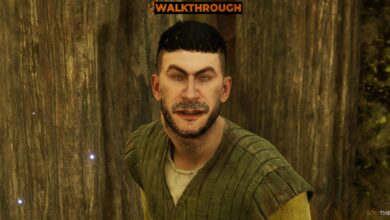 آیا باید جنون را بکشید یا در فراموشی مجدداً از بین برود؟