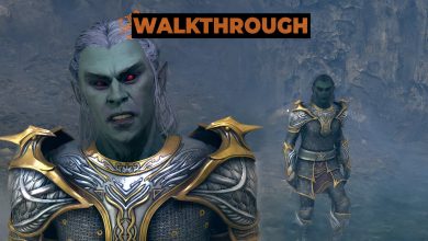 از کجا می توان Raynil Dralas را در Oblivion Remastered پیدا کرد