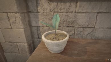 بهترین مکان های Nirnroot در Oblivion Remastered