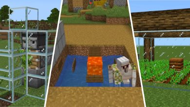 دنیای جدید Minecraft را شروع می کنید؟ شما باید ابتدا این مزارع را تنظیم کنید