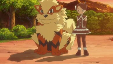 شرکت Pokémon ارقام فروش را برای Pokemon TCG به روز می کند