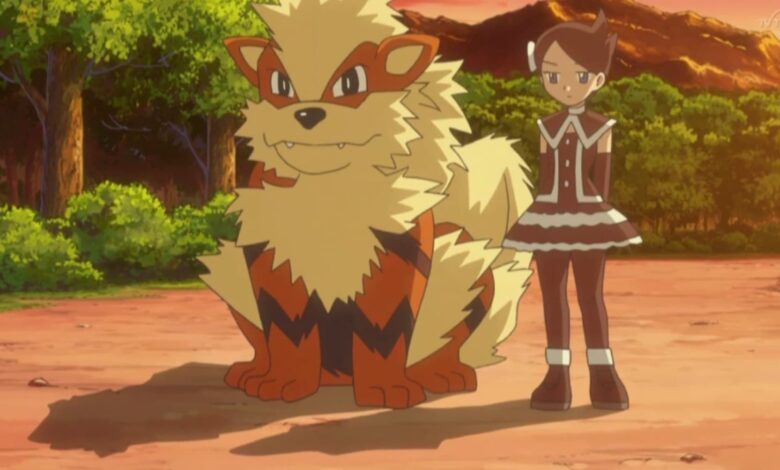 شرکت Pokémon ارقام فروش را برای Pokemon TCG به روز می کند شرکت Pokémon ارقام فروش را برای Pokemon TCG به روز می کند