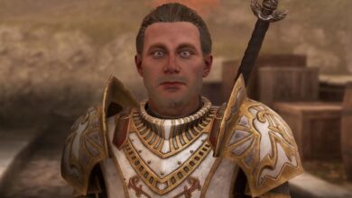 طرفداران Remastered Oblivion کشف می کند که واقعاً آبشار شهر امپریال چقدر بی قانونی است