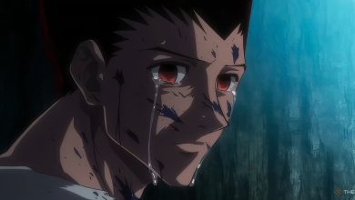 لیست نهایی سطح تقویت کننده ها در Hunter X Hunter