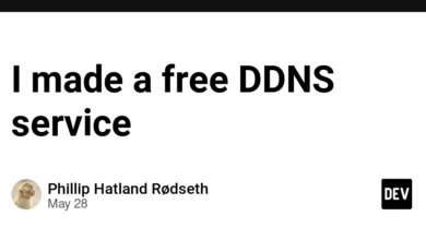 من یک سرویس DDNS رایگان ساختم