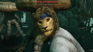 نحوه دفع سیندانو در فراموشی Remastered