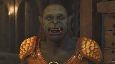 هر جناح در Elder Scrolls IV: Oblivion Remastered ، رتبه بندی شده است