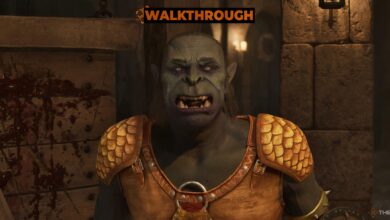 چگونه می توان اشراف شاهزاده خاکستری را در فراموشی بازگرداند